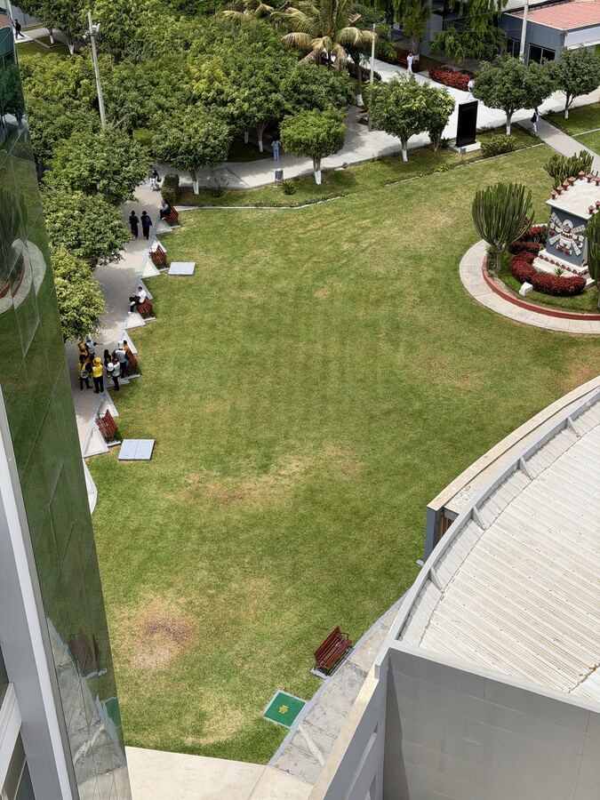 Aerial view of the lawn chosen for the portrait
